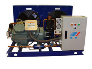 風(fēng)冷活塞冷凝機組（低溫）