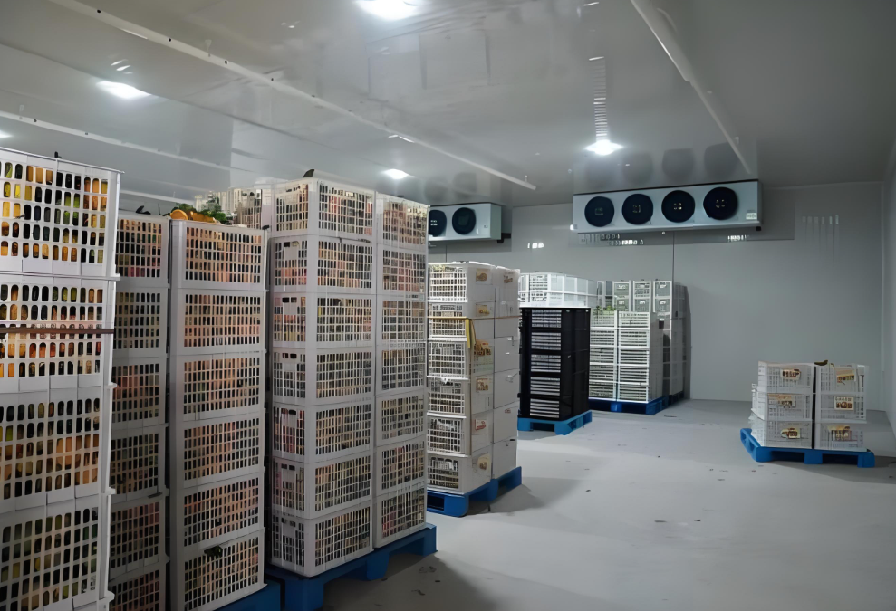 冷庫中貨物堆碼高度有限制嗎，依據是什么？